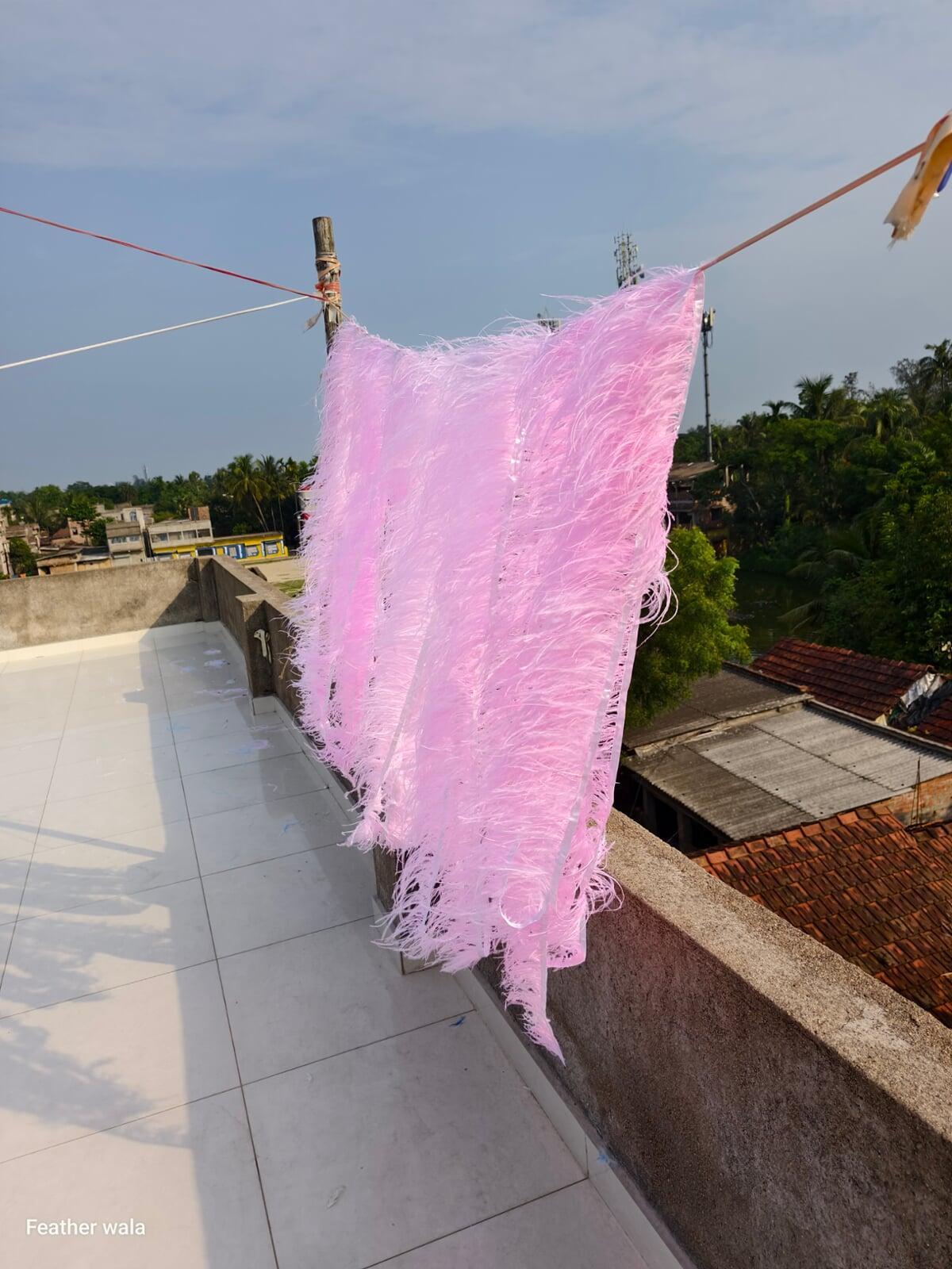 Ostrich feather trim